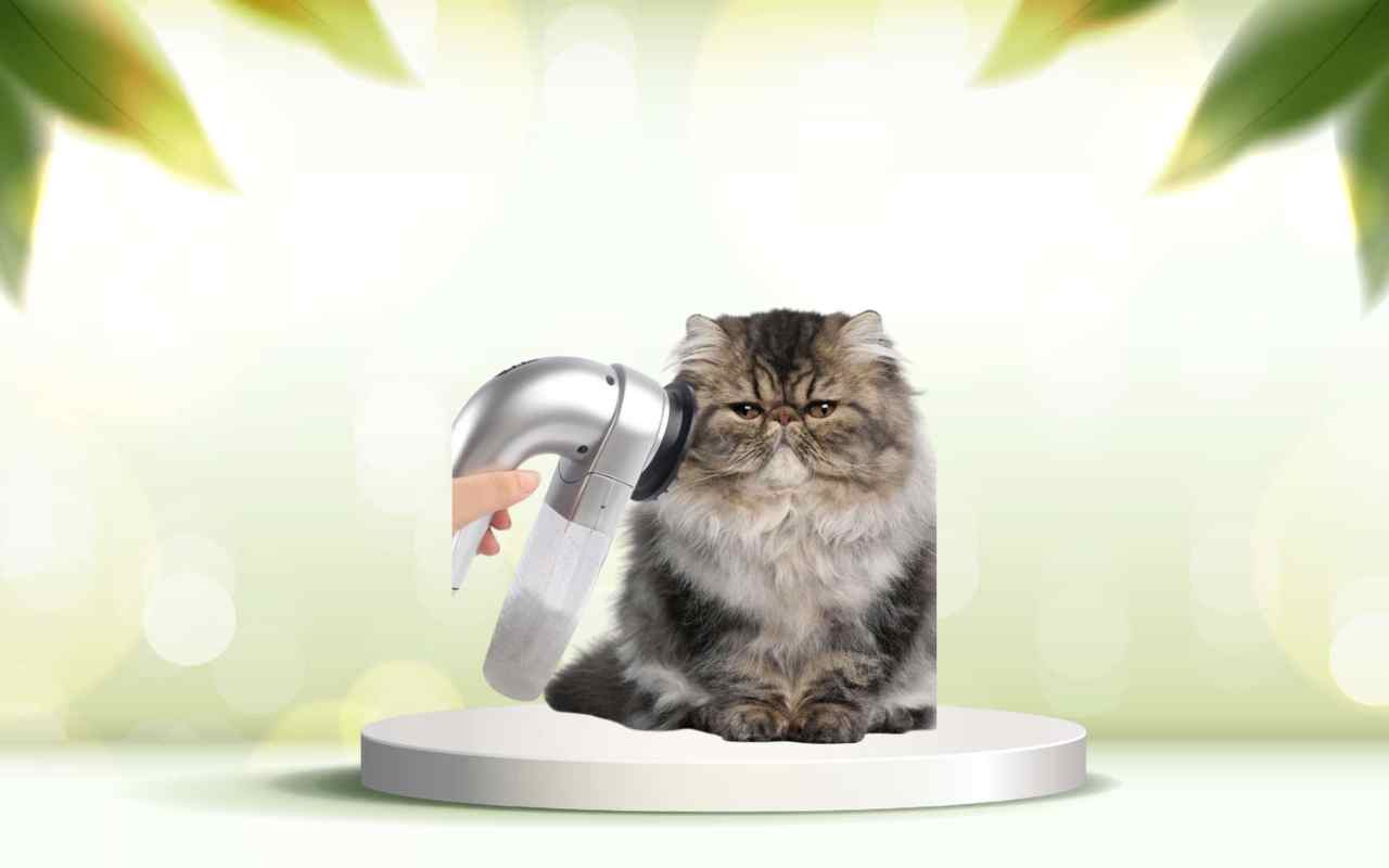 Elimina i peli degli animali in casa con SpazzolAmica: prova ora la soluzione ideale